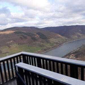 Die Ausicht auf den Rhein vom frisch mit Repair Care reparierten Aussichtsturm.